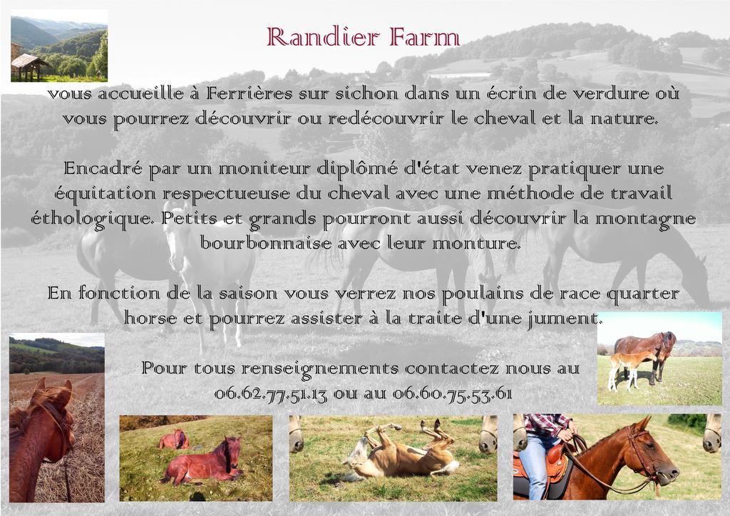 Vila Domaine Du Randier Ferrières-sur-Sichon Exteriér fotografie