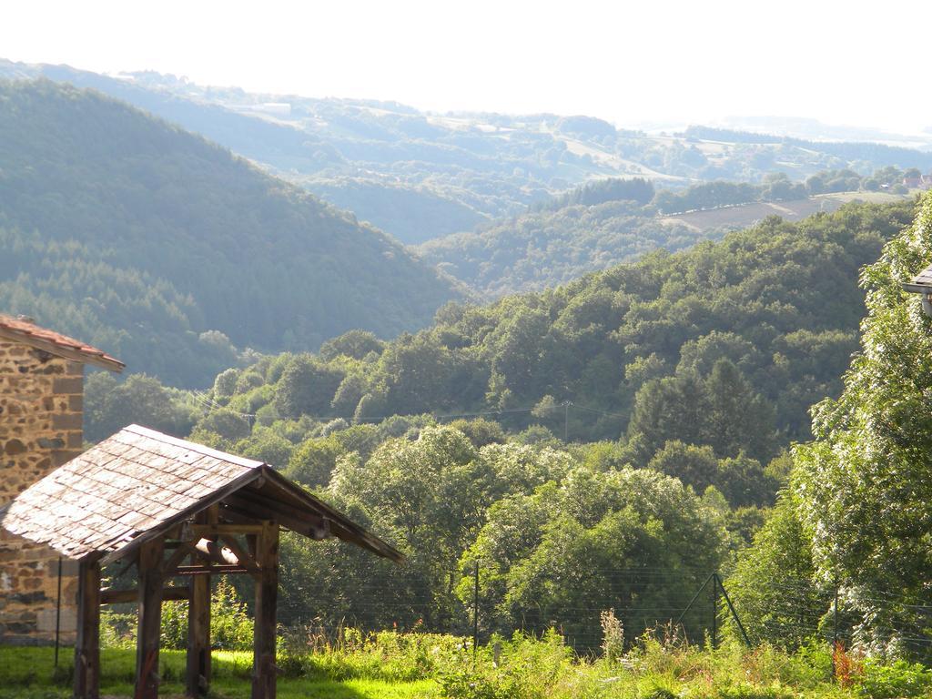 Vila Domaine Du Randier Ferrières-sur-Sichon Exteriér fotografie